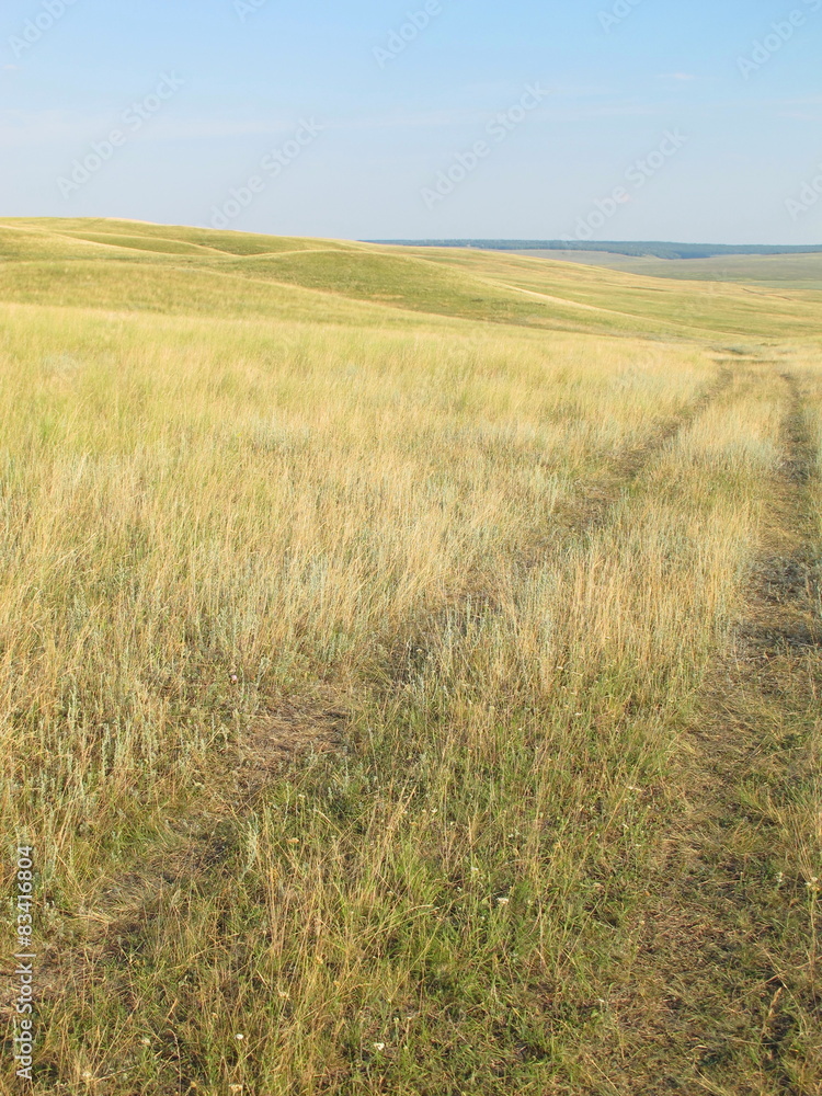 Dirt road in the burnt feather grass steppe against a blue sky Dirt road in the burnt feather grass steppe against a blue sky