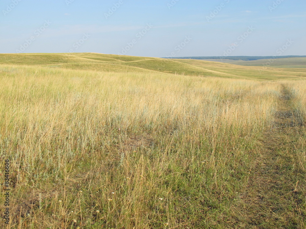 Dirt road in the burnt feather grass steppe against a blue sky Dirt road in the burnt feather grass steppe against a blue sky