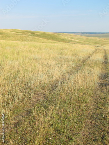 Dirt road in the burnt feather grass steppe against a blue sky