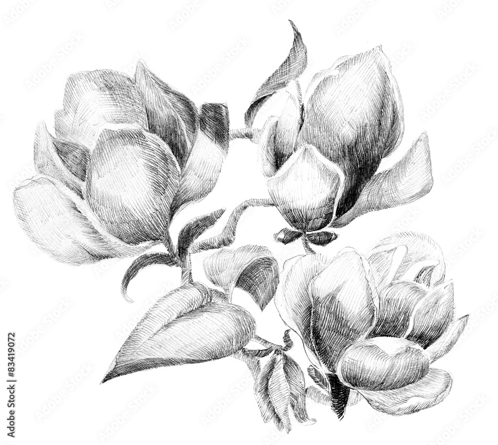 Naklejka premium Flower sketch bouquet