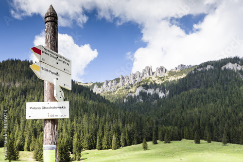 Fototapeta Naklejka Na Ścianę i Meble -  Chocholowska valley, Tatra Mountains, Poland