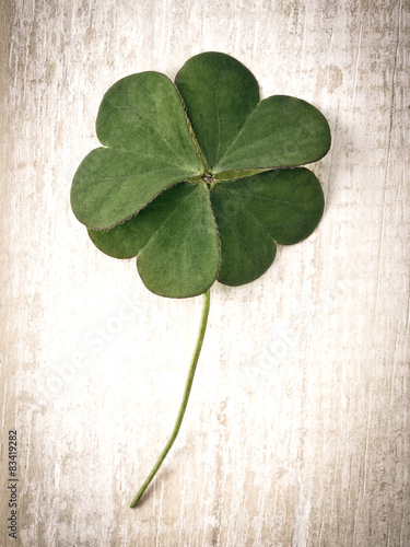 Closeup clover leaf on wooden heart  background.