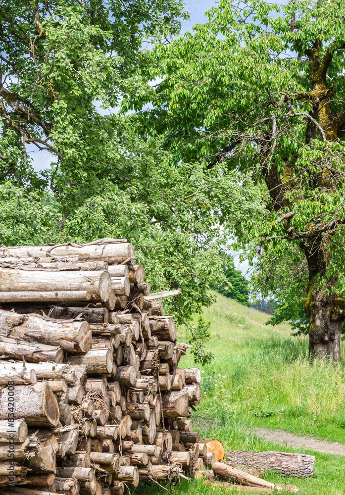 Naturlandschaft / Holzarbeit Naturlandschaft / Holzarbeit