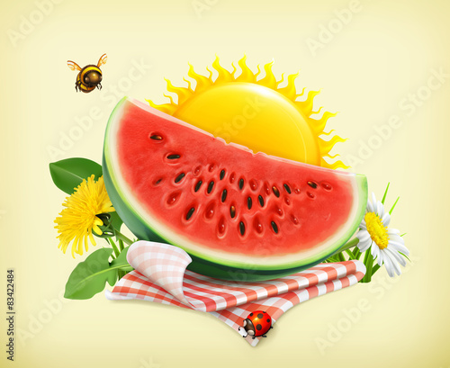 Summer, time for a picnic