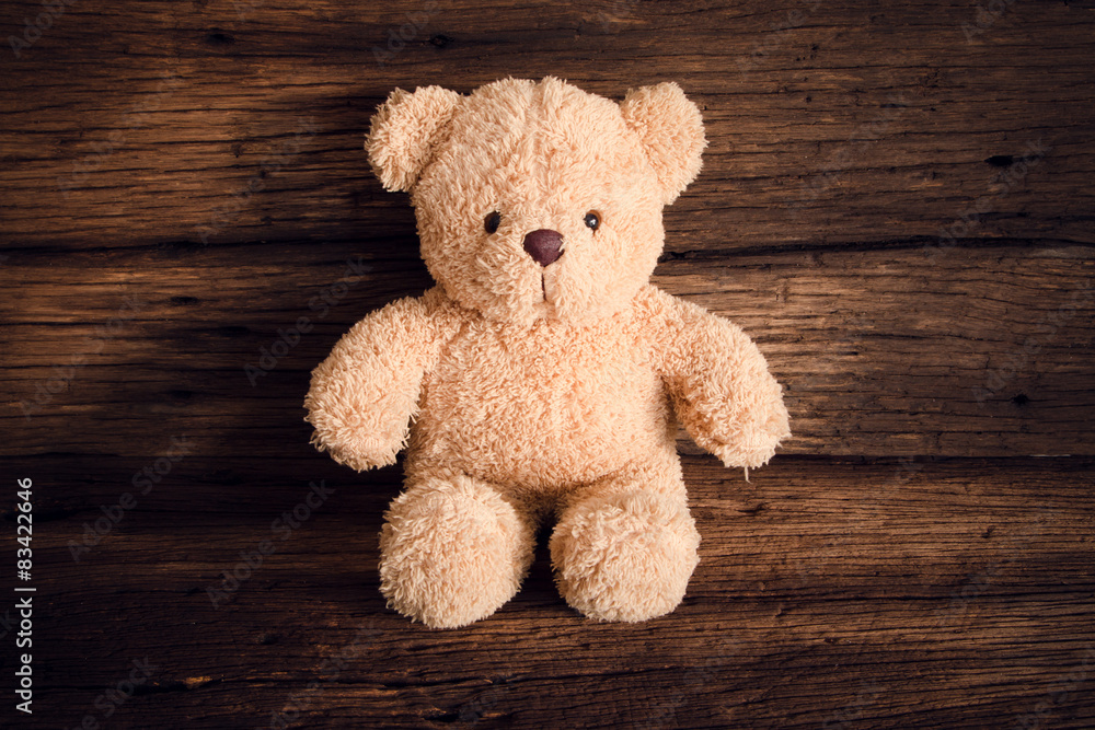 Obraz premium teddy bears