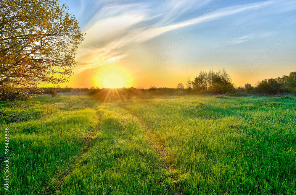 Obraz premium Landscape with the sunrise over the meadow