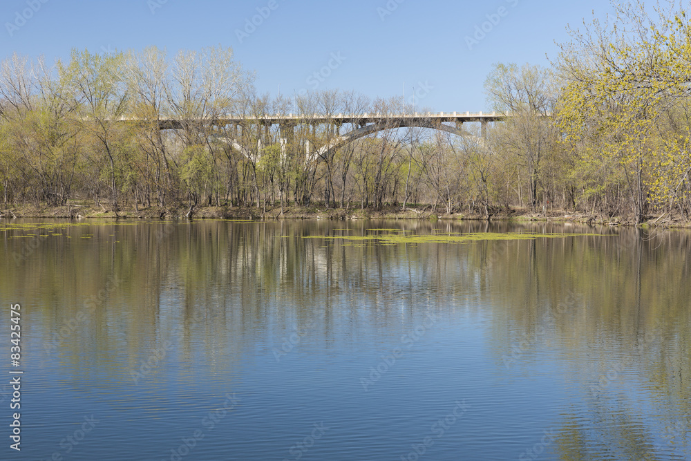 Mendota Bridge In Spring