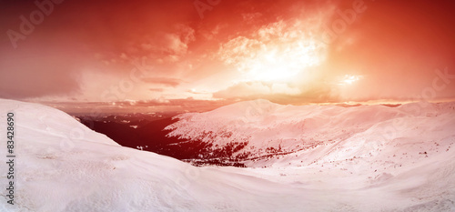 Panoramic winter landscape
