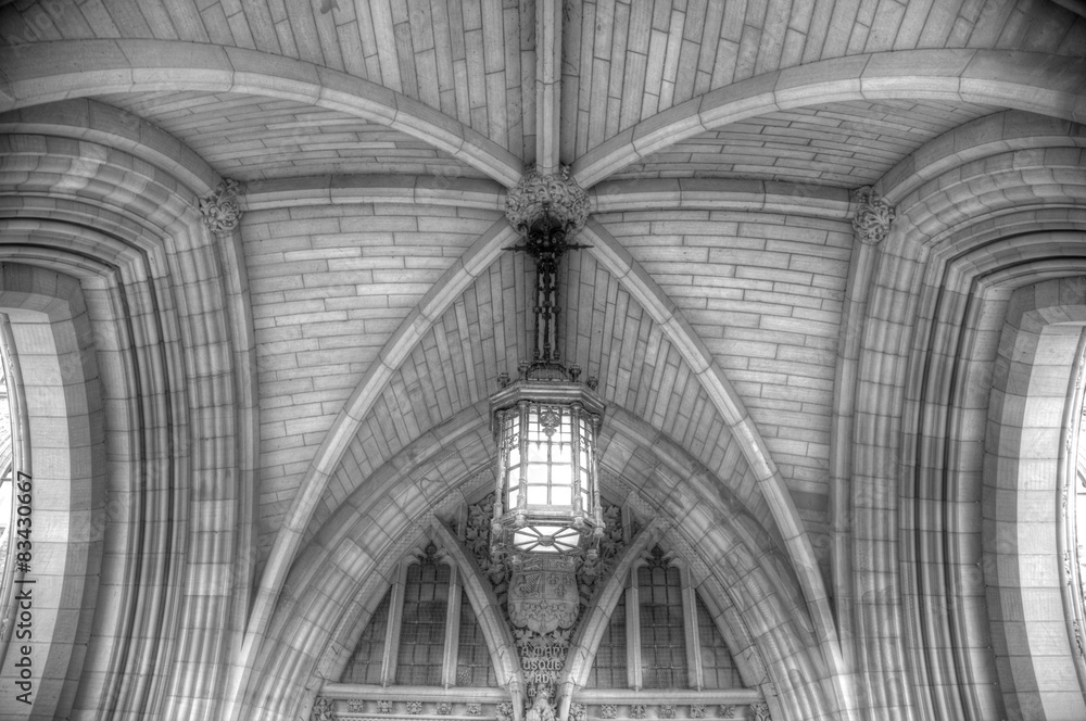 monochrome detail of vaulted arch ceiling with chandalier light