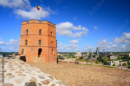 Vilnius Gediminas castle on the hill near Neris river