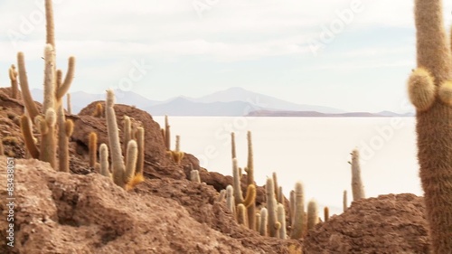 Isla del Pescado, Salar de Uyuni, Bolivia
 photo