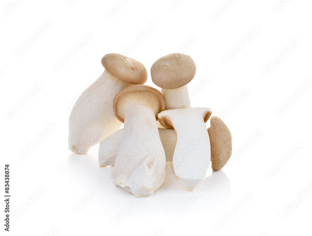 Fototapeta premium mushroom eryngii on white background