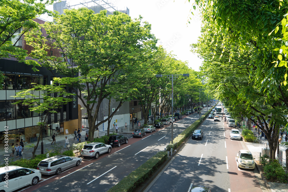 Fototapeta premium 表参道・青山