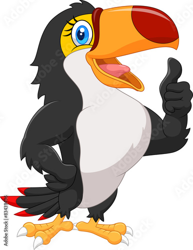 Cartoon toucan gives thumb up