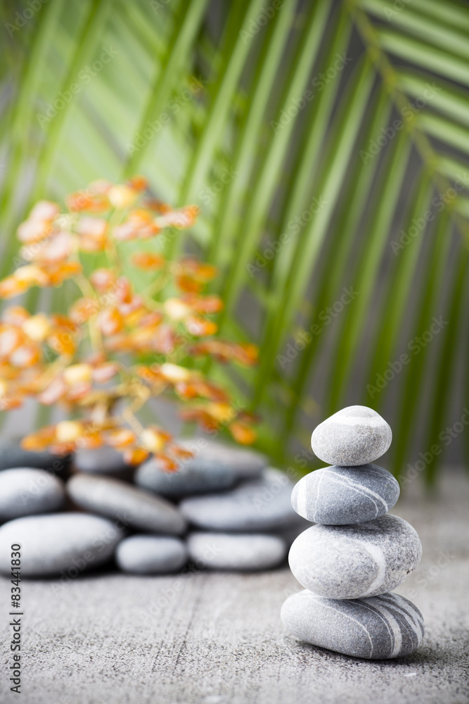Obraz premium Wellness background.