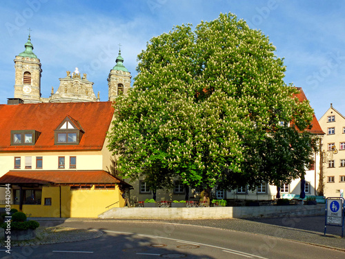 Basilika in Weingarten mit blühender Kastanie photo