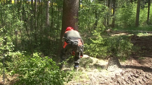 Logging, tree felling photo