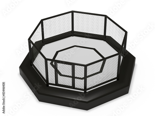 Octagon cage