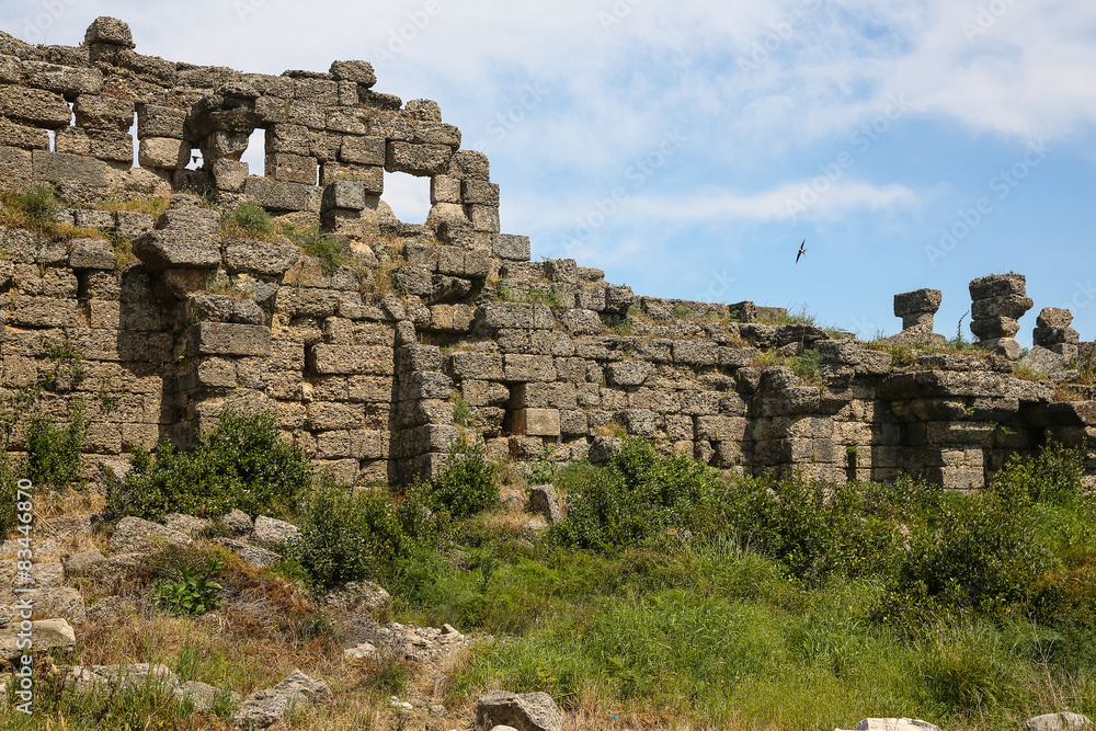 Side ruins