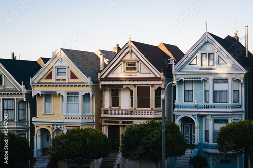 View of the Painted Ladies from Alamo Square Park, in San Franci