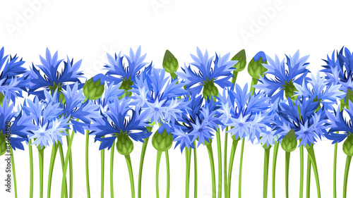 Foto Horizontal seamless background with blue cornflowers. Vector.