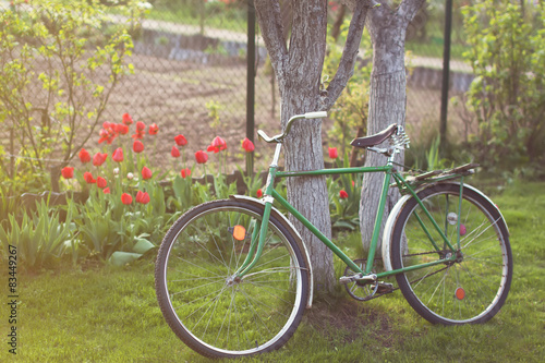 Soviet vintage bicycle in garden