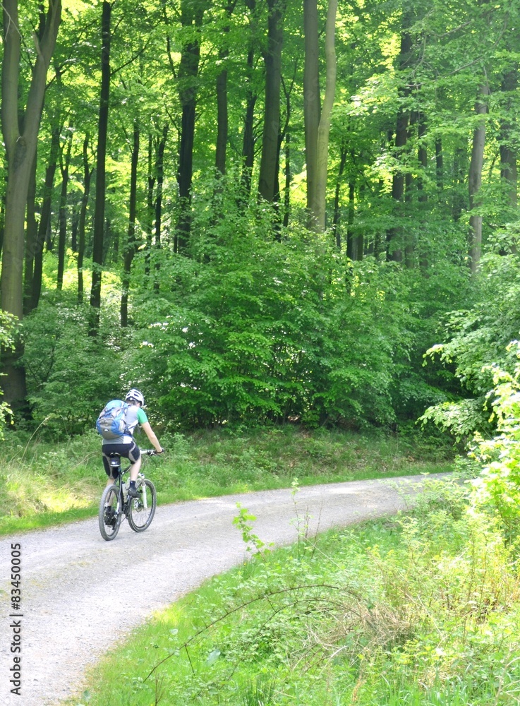 Mountainbiking im Wald