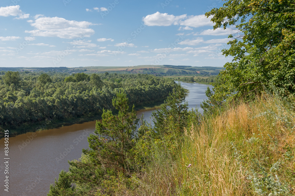 Fototapeta premium Summer landscape with a river from a high bank
