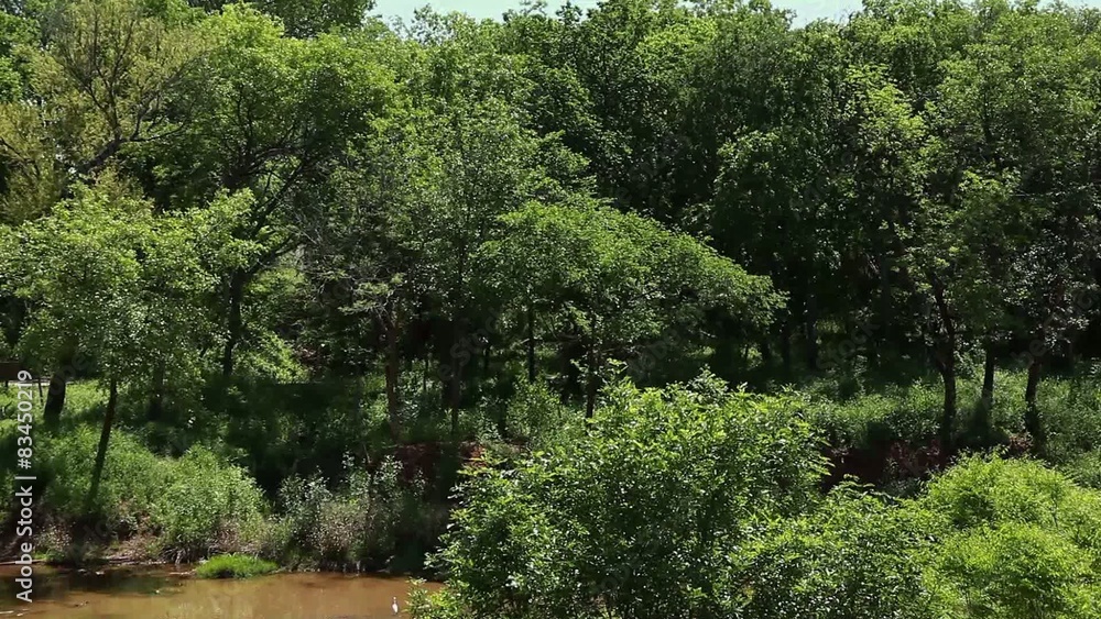 Red River in Texas mit Graureiher Red River in Texas mit Graureiher