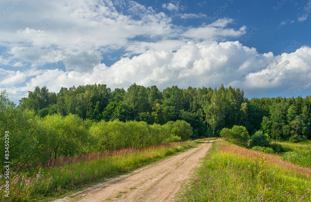 Summer landscape with dirt road leading into the woods