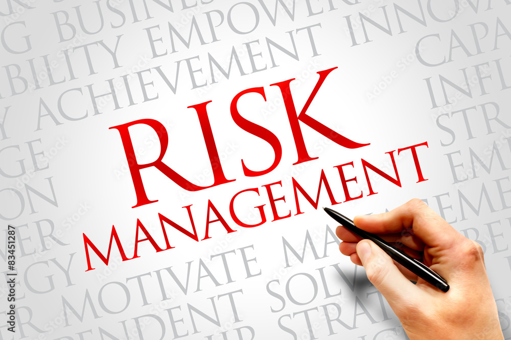 Risk Management word cloud, business concept Risk Management word cloud, business concept