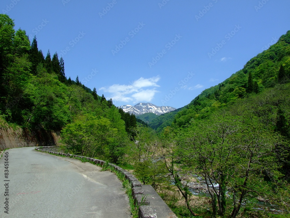 Fototapeta premium 白山連峰