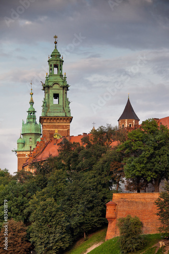 Wawel Royal Castle in Krakow #83451879