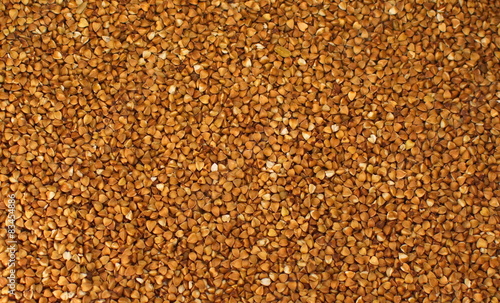  buckwheat