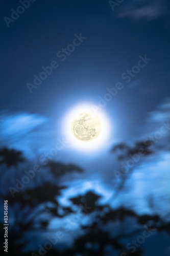 Moon on a cloudy sky with defocused tree silhouette.