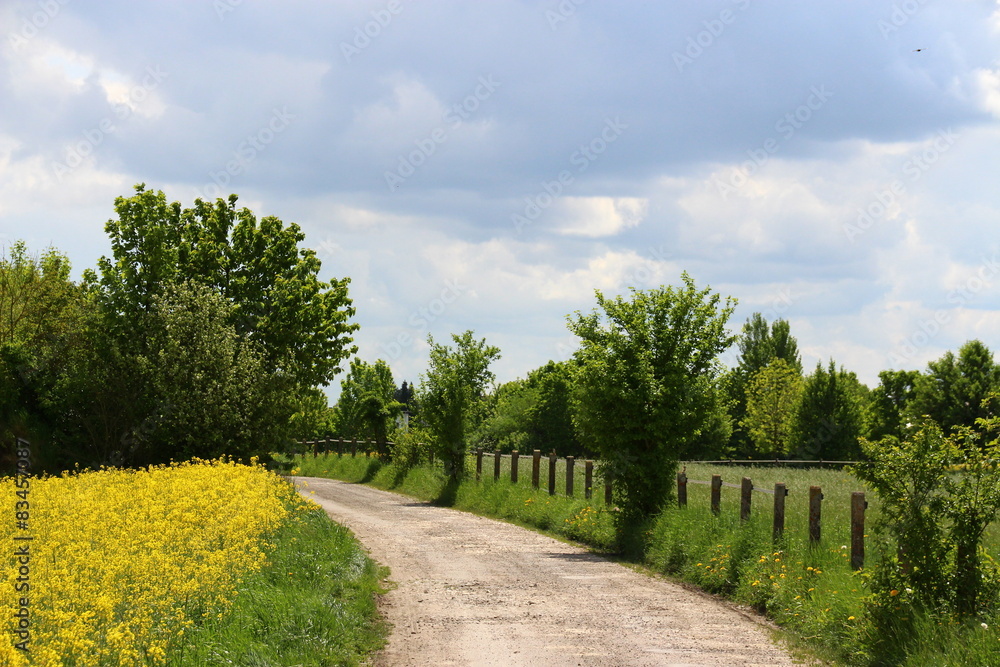 Fototapeta premium Weg zum Hof