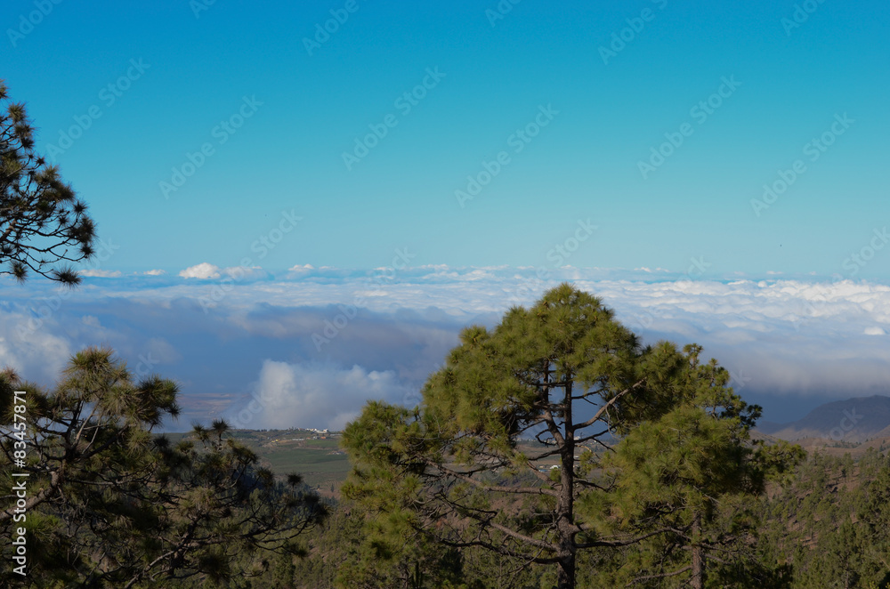 вид с гор на облака на острове тенерифе