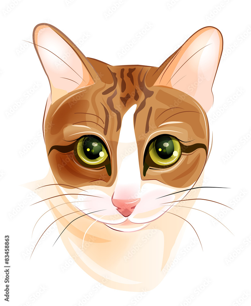 portrait of charming ginger cat portrait of charming ginger cat