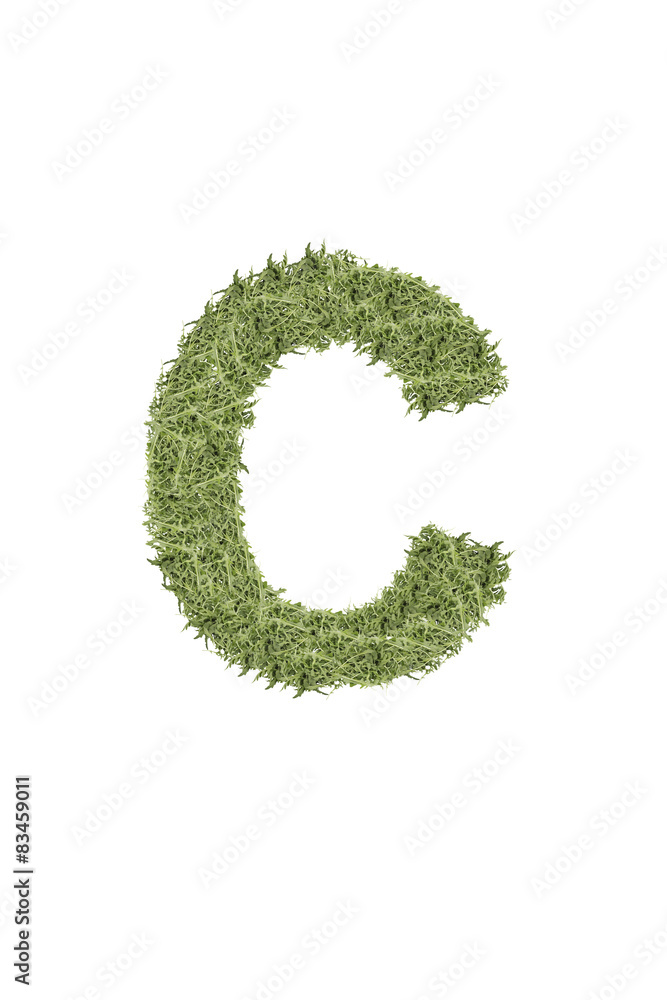 The letter from the alphabet of arugula The letter from the alphabet of arugula