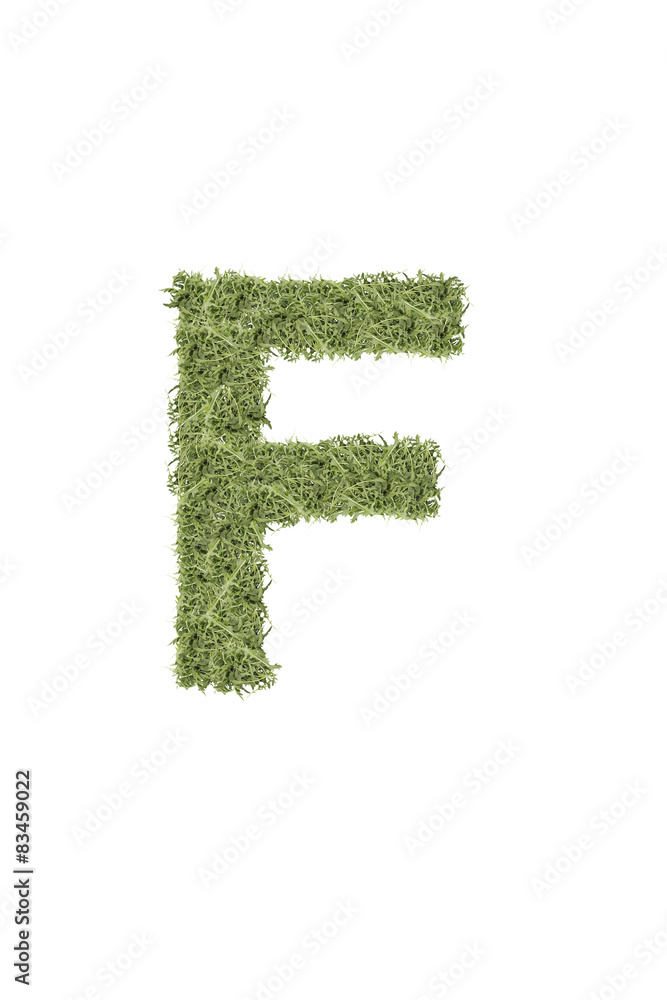 The letter from the alphabet of arugula The letter from the alphabet of arugula