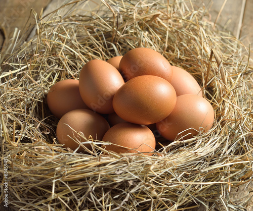 Brown eggs in a nest