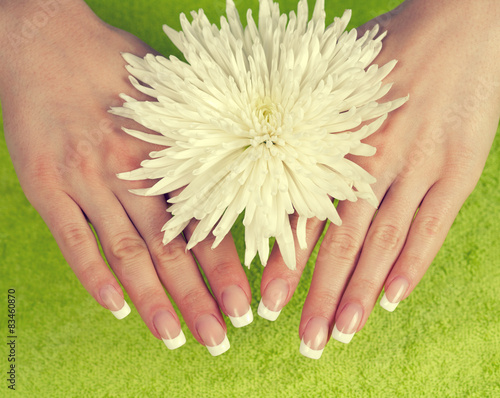 Beautiful female hands with perfect french manicure