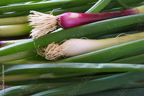 Fresh green onions photo