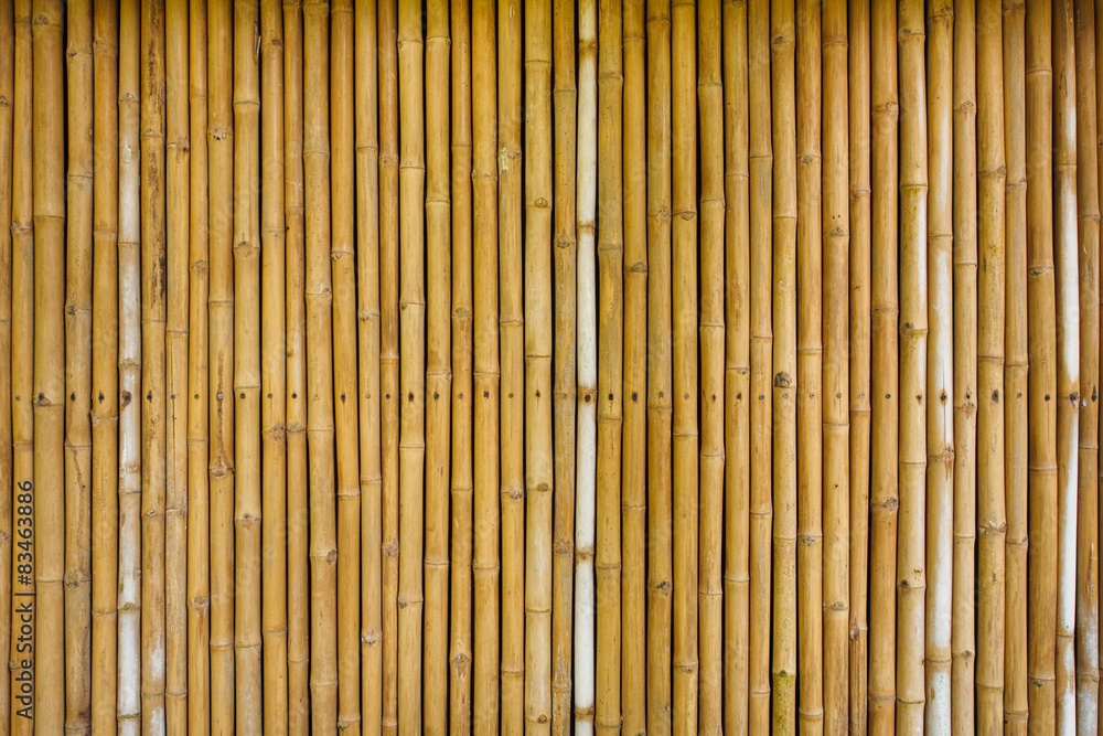bamboo fence bamboo fence