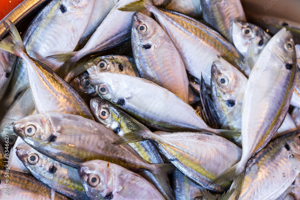 Obraz premium Fresh fish