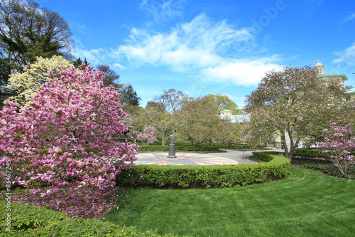 New York   Brooklyn Botanic Garden