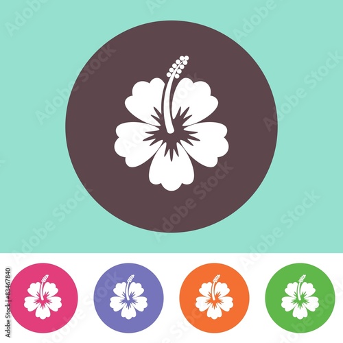 Vector hibiscus silhouette icon