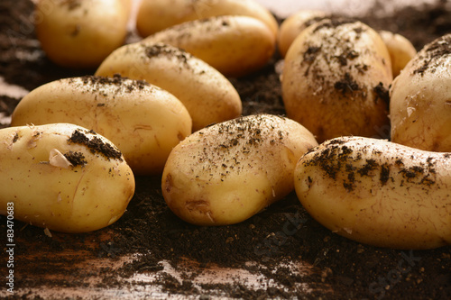 mucchio di patate novelle