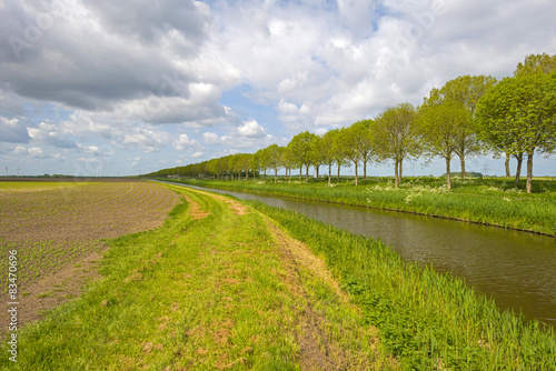 Canal through a sunny rural landscape in spring