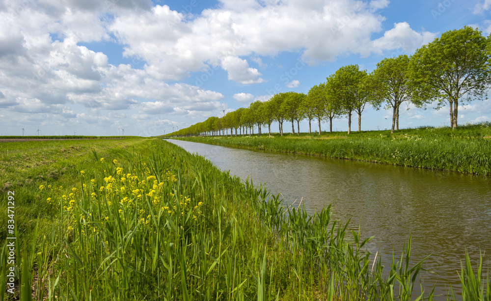 Canal through sunny farmland in spring
